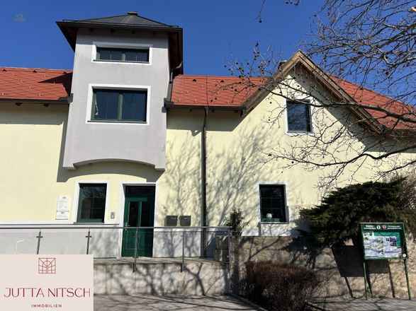 Schönes Büro/Praxis - Gemeinschaftsbüro/Praxis möglich - Gumpoldskirchen neben Parkplatz