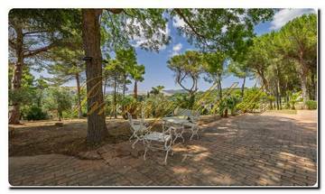 Thumbnail von Exklusive Luxus-Landhausvilla mit Pool, mediterranen Park und Gästehaus in begehrter Hügellage von Salemi Westsizilien