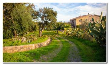 Thumbnail von Nord-Sizilien Super-Villa auf ca. 20.000 m² Areal, parkähnlichem Garten, Blick auf die Äolischen Inseln, die Olivenhaine und einen phantastischen Meerblick