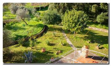Thumbnail von Nord-Sizilien Super-Villa auf ca. 20.000 m² Areal, parkähnlichem Garten, Blick auf die Äolischen Inseln, die Olivenhaine und einen phantastischen Meerblick