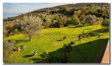Thumbnail von Nord-Sizilien Super-Villa auf ca. 20.000 m² Areal, parkähnlichem Garten, Blick auf die Äolischen Inseln, die Olivenhaine und einen phantastischen Meerblick