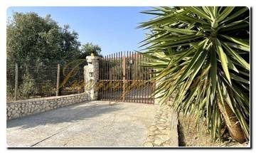 Thumbnail von Immogold Süd-Sizilien SGS 26039 Siziliens stille Schönheit erleben; traumhaftes Anwesen mit mediterranen Gärten und weitem Grundstück