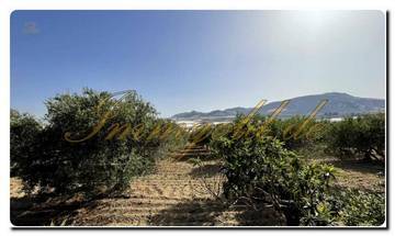 Thumbnail von Immogold Süd-Sizilien SGS 26039 Siziliens stille Schönheit erleben; traumhaftes Anwesen mit mediterranen Gärten und weitem Grundstück