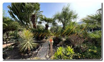 Thumbnail von Immogold Süd-Sizilien SGS 26039 Siziliens stille Schönheit erleben; traumhaftes Anwesen mit mediterranen Gärten und weitem Grundstück