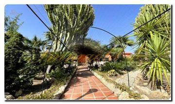 Thumbnail von Immogold Süd-Sizilien SGS 26039 Siziliens stille Schönheit erleben; traumhaftes Anwesen mit mediterranen Gärten und weitem Grundstück