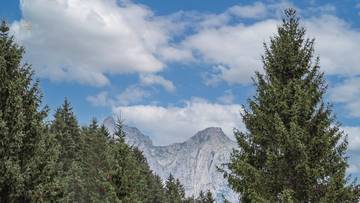 Thumbnail von レジャー住宅免除付きの多世帯住宅