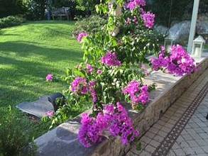 Thumbnail von Große und komfortable Villa in ländlicher Idylle unweit vom Gardasee