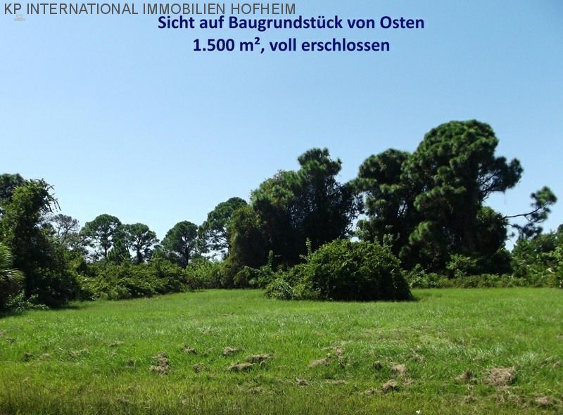 ***ФЛОРИДА: НАПРЯМУЮ ОТ ET WSG GERMANY - уже вырубленный участок для строительства в новом жилом районе***