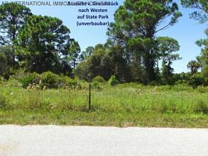 Thumbnail von ***ФЛОРИДА: НАПРЯМУЮ ОТ ET WSG GERMANY - уже вырубленный участок для строительства в новом жилом районе***
