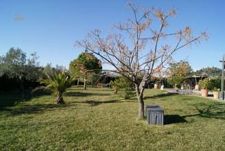 Thumbnail von ***Großzügige Finca in Jesus Pobre bei Denia***