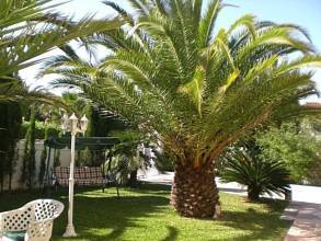 Thumbnail von ***Villa mit Gästezimmern - ideal für Ferienvermietung***