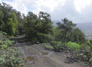 Thumbnail von Agrarland auf Teneriffa