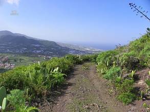 Thumbnail von Agrarland auf Teneriffa