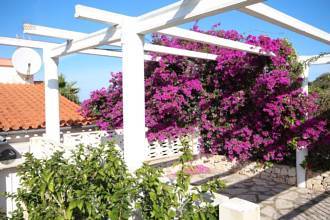 Thumbnail von ***Sehr gepflegte Villa in Oliva mit Privatpool und herrlichen Ausblick***