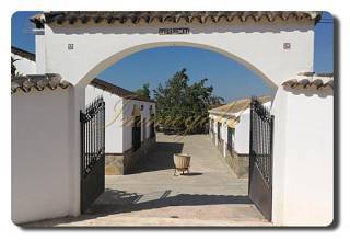 Thumbnail von Immogold Finca, Landhaus mit ca. 60.000 m² Land, nahe Arcos de la Frontera (Junta de los Rios)