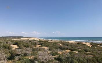 Thumbnail von ***3-Zimmer-Wohnungen mit Gemeinschaftspool nur 80 m vom wunderschönen Sandstrand***
