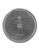 Thumbnail von Zenith Mans open face Lepine Pocket Watch Art Deco </h1>