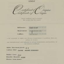 Thumbnail von Patek Philippe Neptune Ref.5080 Salmon Stainless Steel rare </h1>