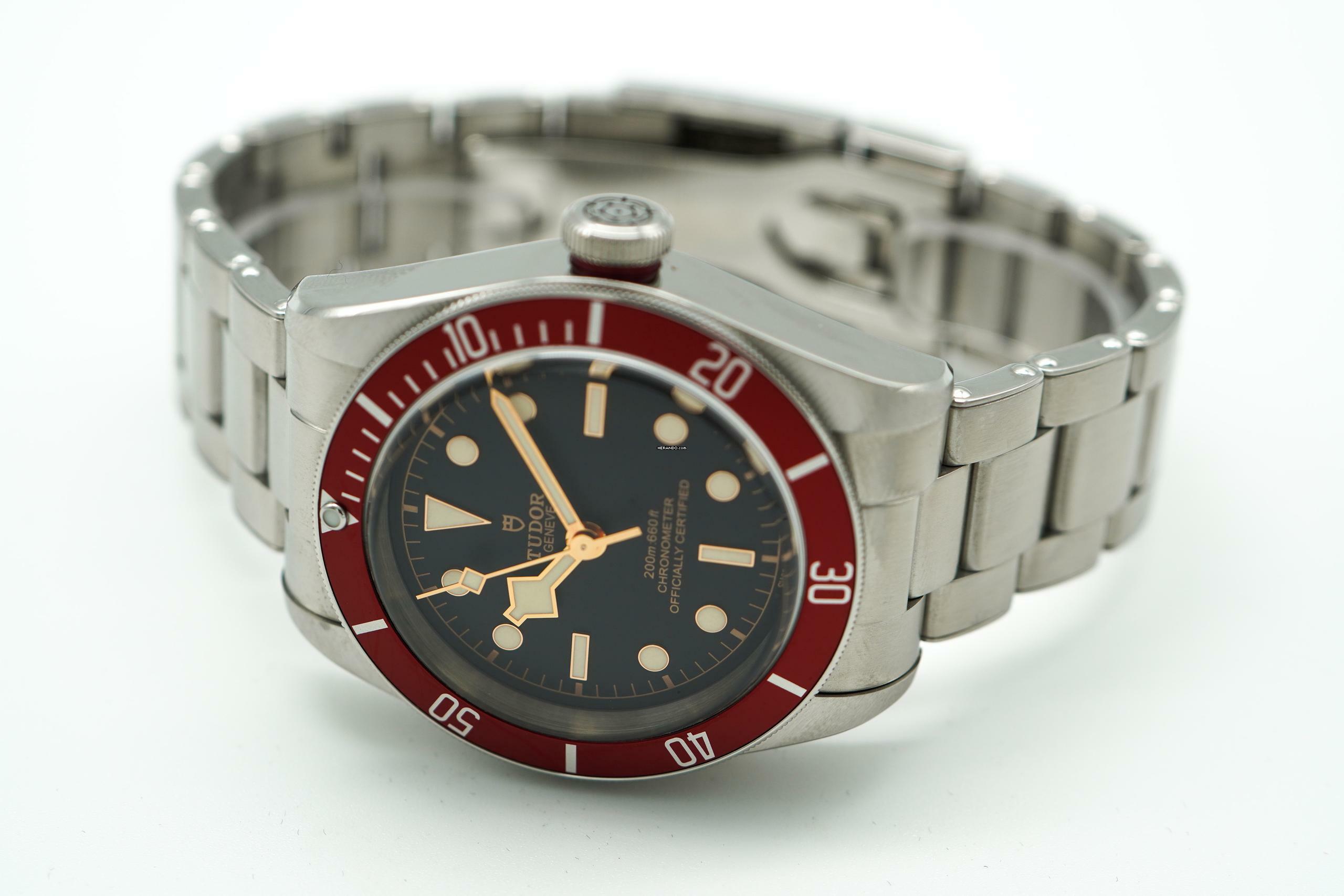 Tudor Black Bay 79230R </h1>