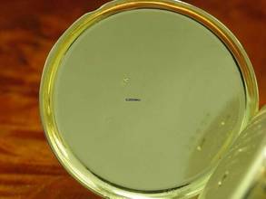 Thumbnail von Humbert-ramuz & Cie 18kt 750 Gold Open Face Taschenuhr Viertel-repetition </h1>