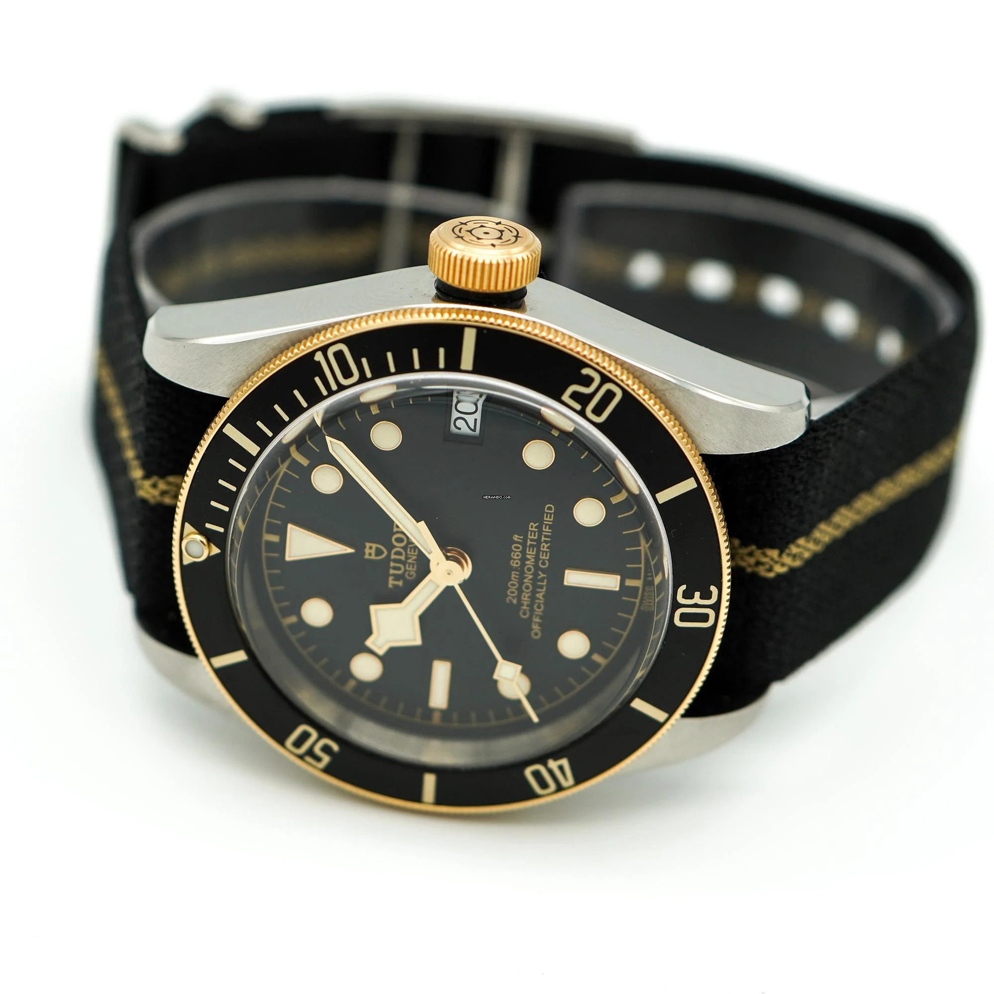 Tudor Black Bay S&G M79733N