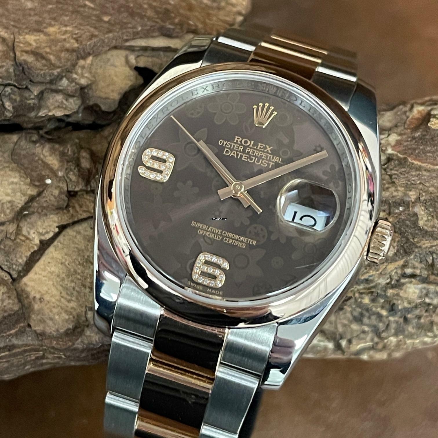 Rolex Datejust 36 Datejust 36 - Brown Floral Dial - FULL SET LC100 - Ref.116201 </h1>