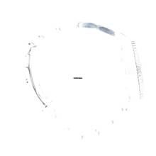 Thumbnail von Longines HydroConquest Steel Grey 41MM