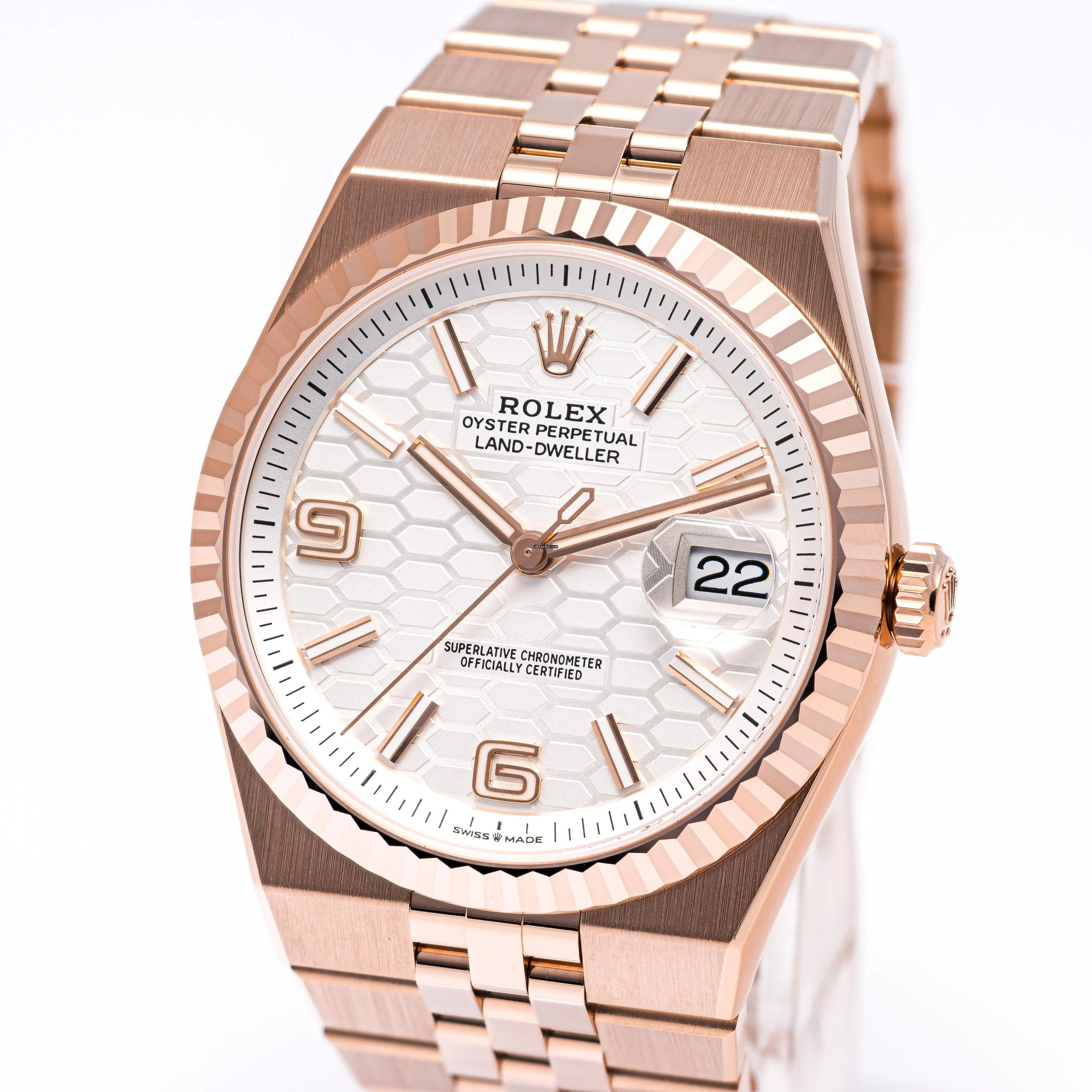 Rolex Land-Dweller 40 White Rosegold – 127335 – NEW & Unworn – 2026 Full Set