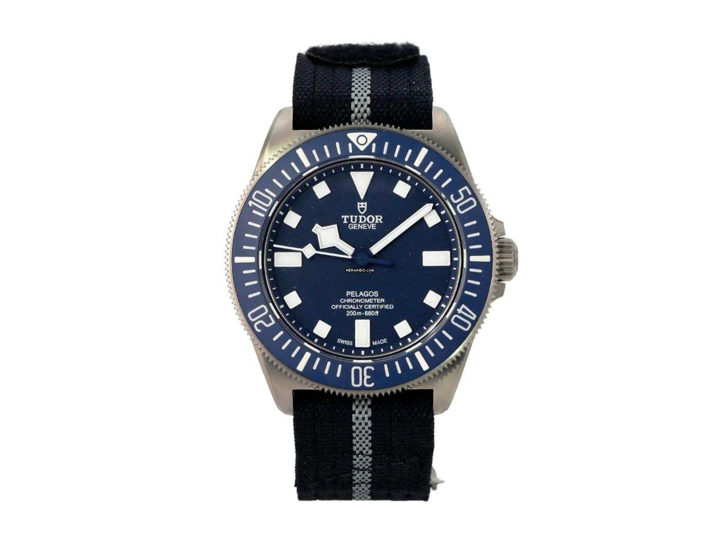 Tudor Pelagos FXD M25707B/21-0001 Stickers