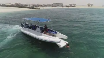 Thumbnail von Ocean Craft Marine 8.75M Beachlander