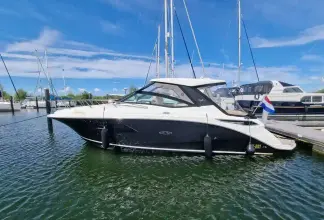 Thumbnail von Sea Ray 320 Sundancer