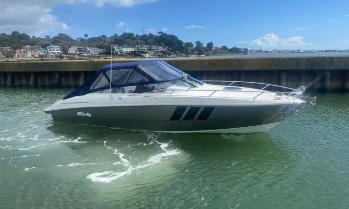 Windy 29 Coho Corona