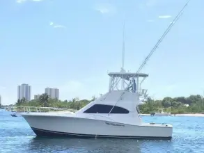 Thumbnail von Luhrs 40 Convertible Lolita