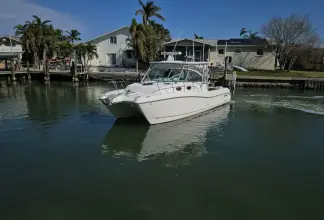 Thumbnail von World Cat 320 EC K DEE