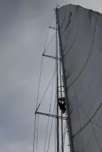 Thumbnail von BLONDECELL, FREEWARD MARINE Simon Rogers Cutter Rigged One Design SONG OF THE WHALE