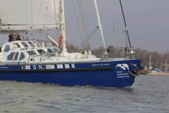 Thumbnail von BLONDECELL, FREEWARD MARINE Simon Rogers Cutter Rigged One Design SONG OF THE WHALE