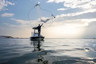 Thumbnail von Skeeter SX 241