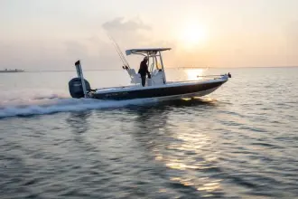 Thumbnail von Skeeter SX 241