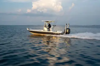 Thumbnail von Skeeter SX 241