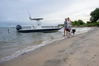 Thumbnail von Skeeter SX 241