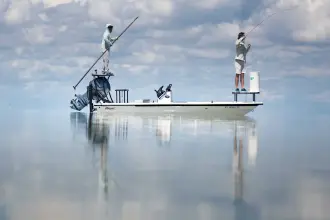 Thumbnail von Maverick 17 Hpx V