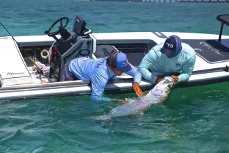 Thumbnail von Maverick 17 Hpx V