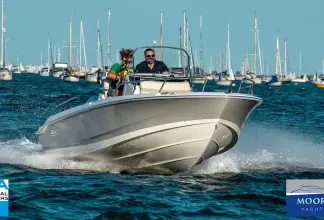Thumbnail von Boston Whaler 220 Dauntless