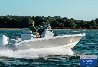 Thumbnail von Boston Whaler 220 Dauntless