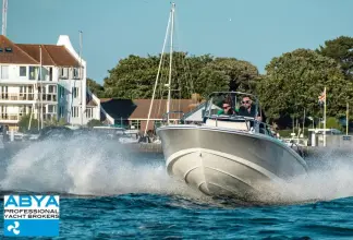 Thumbnail von Boston Whaler 220 Dauntless