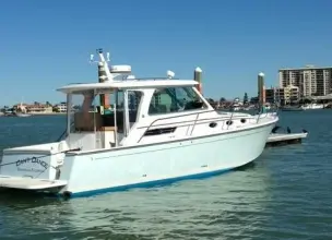 Thumbnail von Back Cove 34 No Pressure