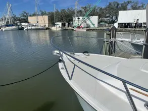 Thumbnail von Back Cove 34 No Pressure