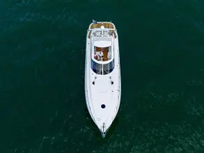 Thumbnail von Sunseeker Predator 56 SNARK OF WIGHT