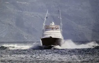 Thumbnail von Bertram 33 Sport Fisherman Bouki