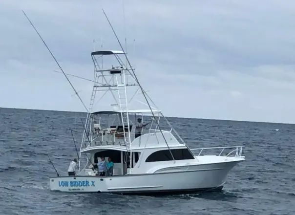 Sunny Briggs Flybridge Sportfish LOW BIDDER X